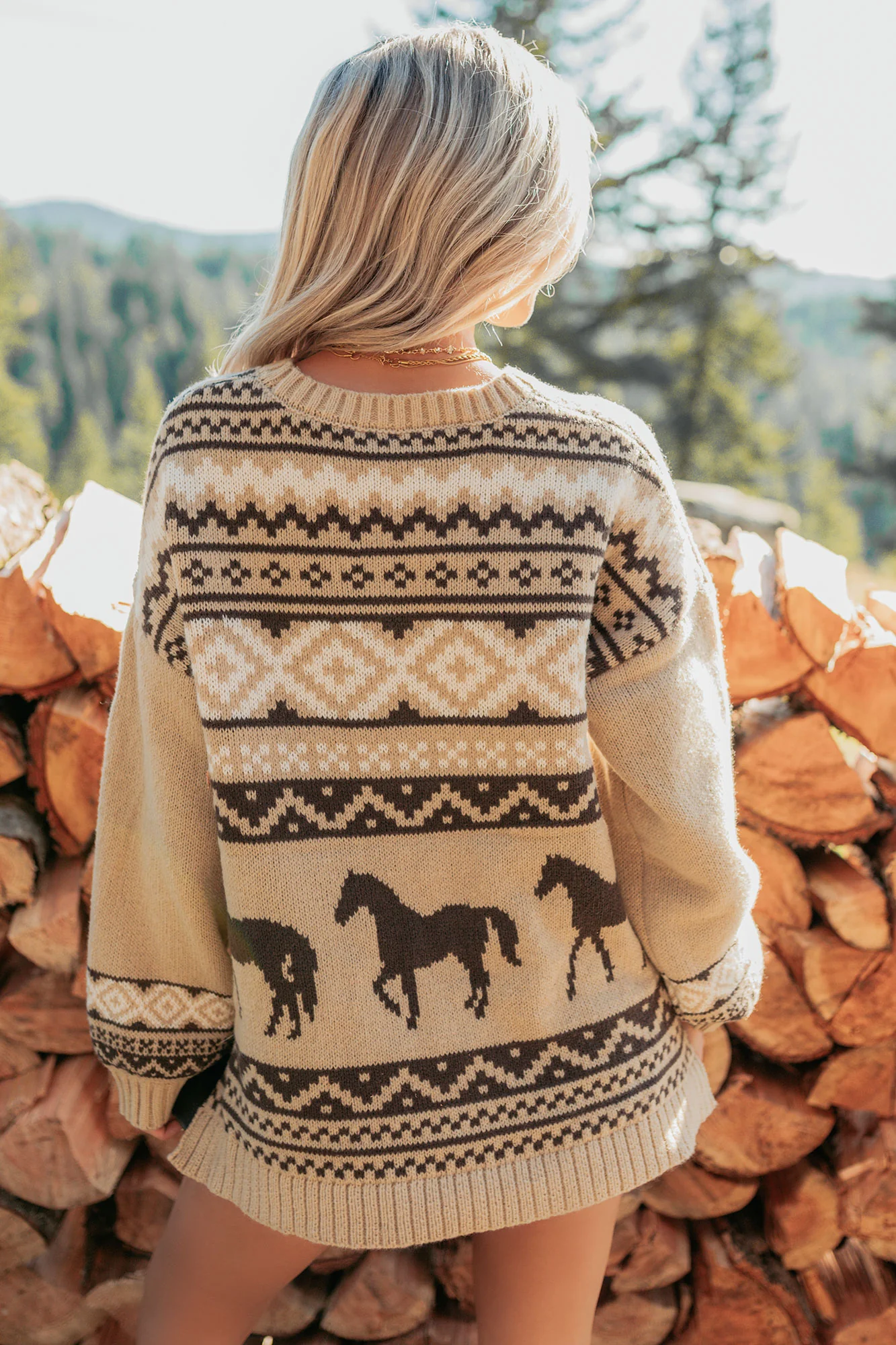 Bless Your Boots Western Print Sweater (Mocha) - Image 5