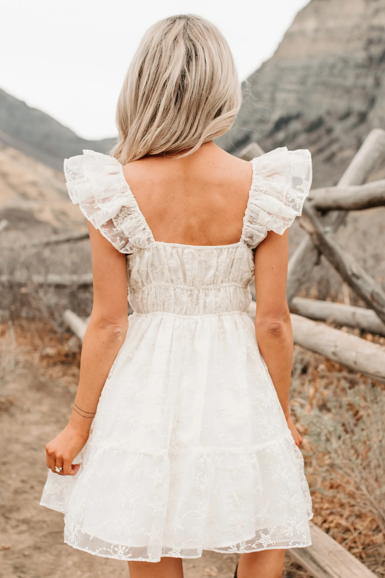 Petals In The Sun Chiffon Embroidered Mini Dress (Ivory) - Image 9