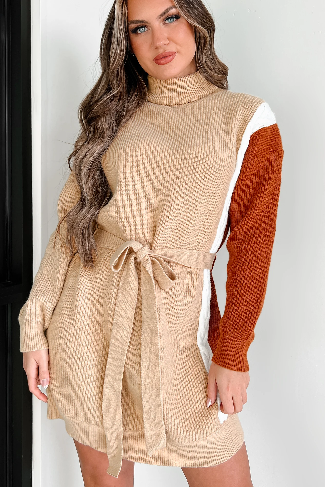 Slope City Turtleneck Sweater Dress (Oatmeal Multi) - Image 4