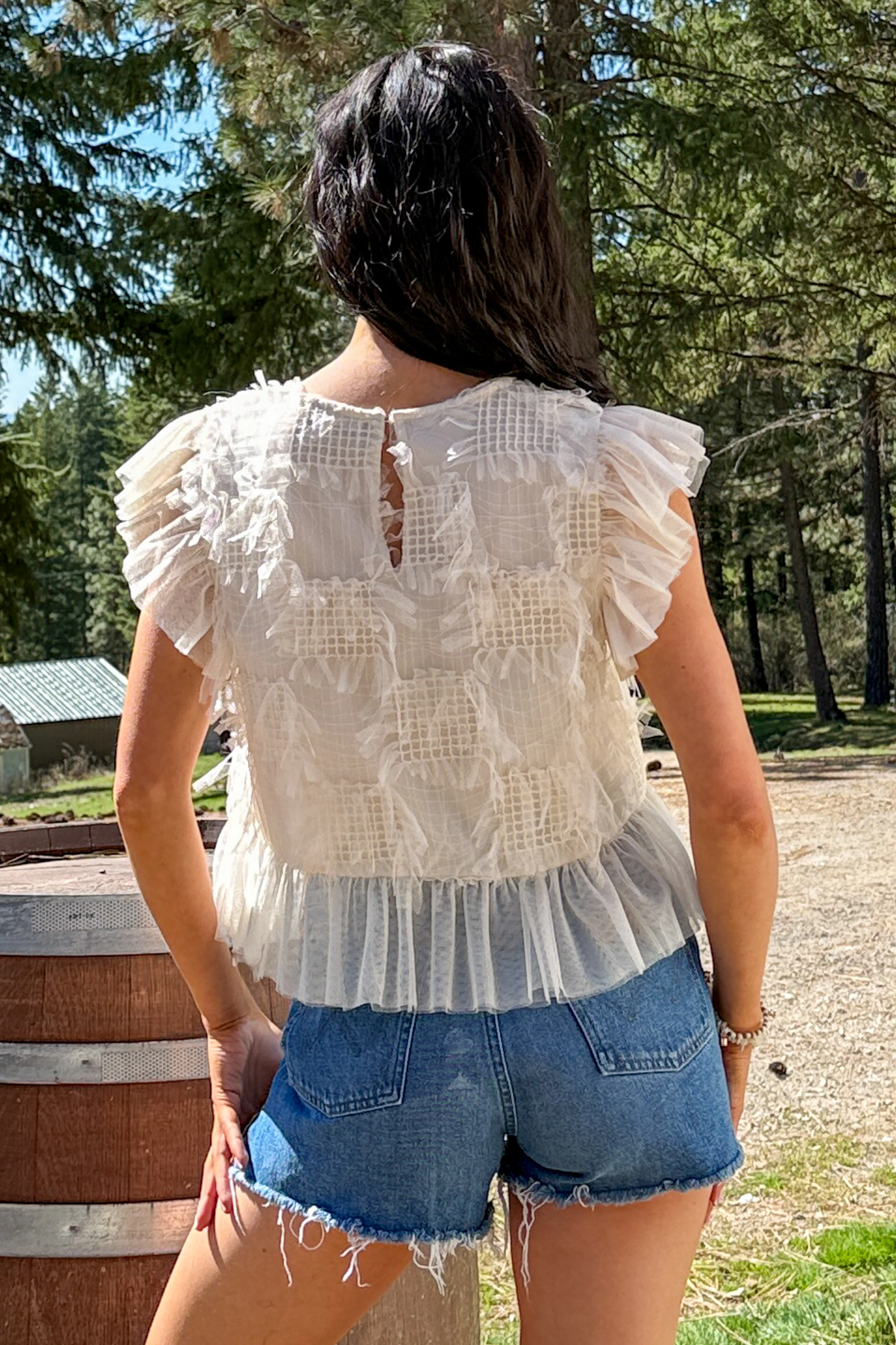 Tranquil Vibes Ruffle Mesh Top (Cream) - Image 5