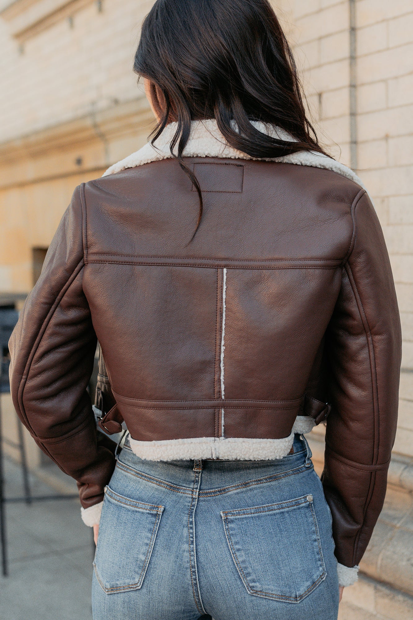 Urban Chill Faux Leather Sherpa Lined Jacket (Brown/Beige) - Image 4